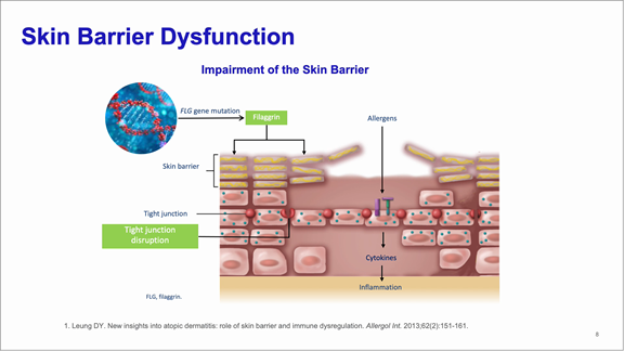 Chia-Yu-thumbnail-image 7th International Symposium on Corneotherapy