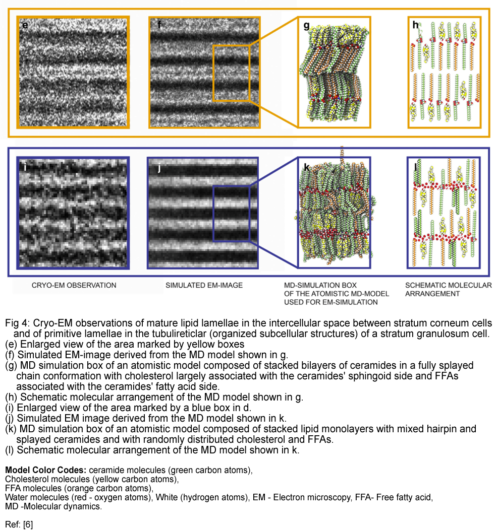 Cryo-EM observations 