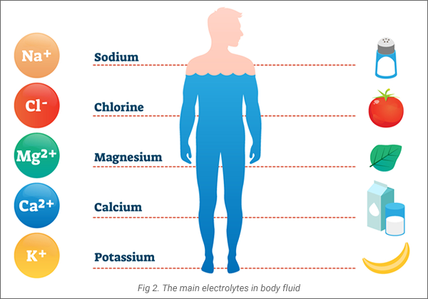 Electrolytes in the body