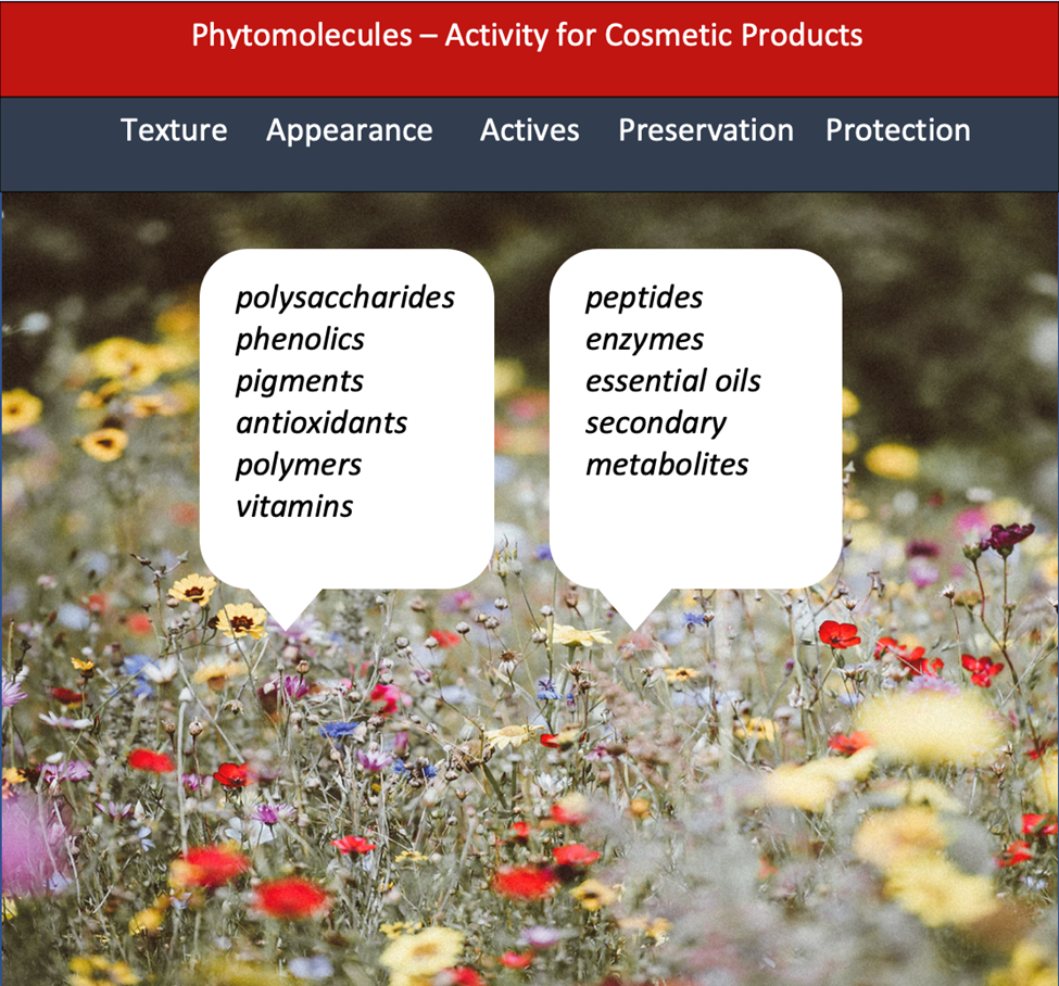 Phytomolecules