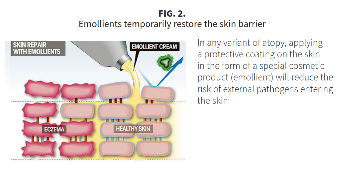 Fig-2-A2 Three stars of corneotherapy &mdash;  barrier lipids, antioxidants & hyaluronic acid
