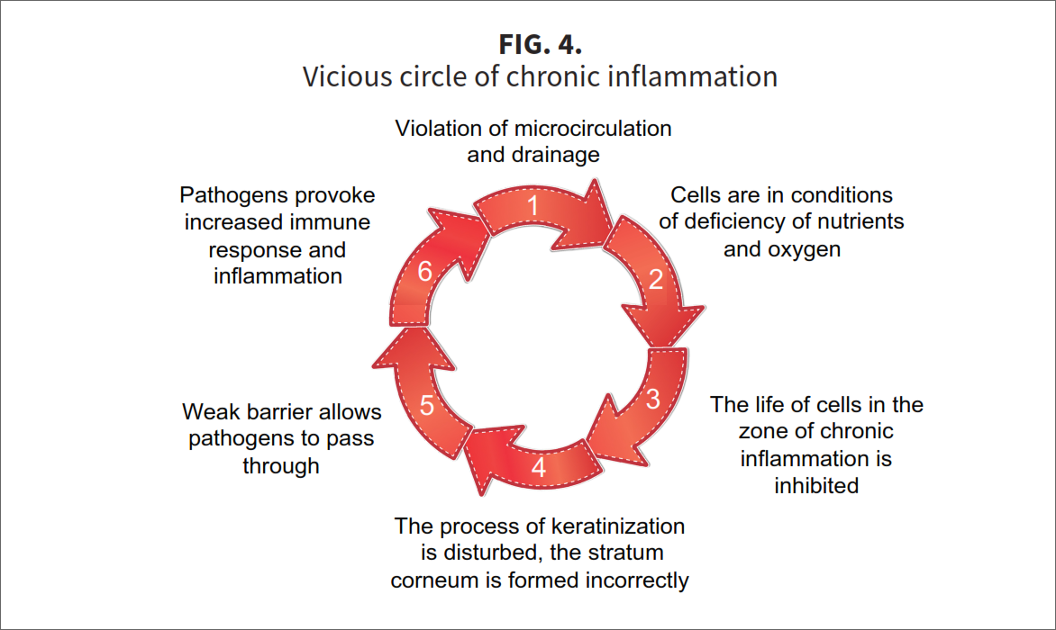 Fig-4-A2 Three stars of corneotherapy &mdash;  barrier lipids, antioxidants & hyaluronic acid