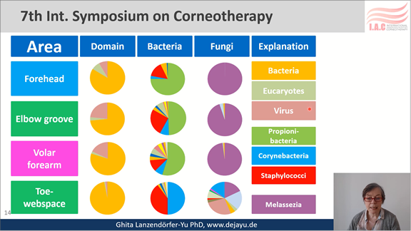 Ghita-thumbnail-image-D2 7th International Symposium on Corneotherapy
