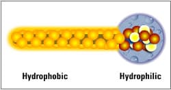 emulsifier-molecule