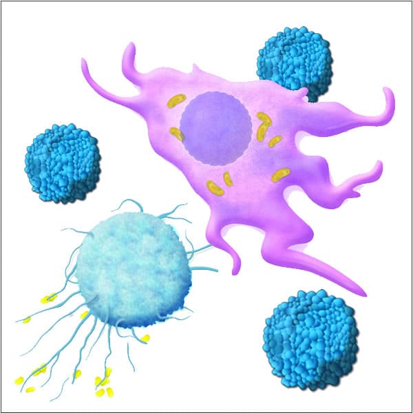 immune-group The epidemic of over-exfoliation