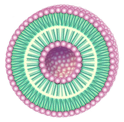 lamellar-2 Biodegradable Lamellar Systems in Skin Care