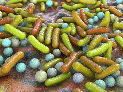 microbiome